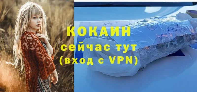 COCAIN Эквадор  Чишмы 